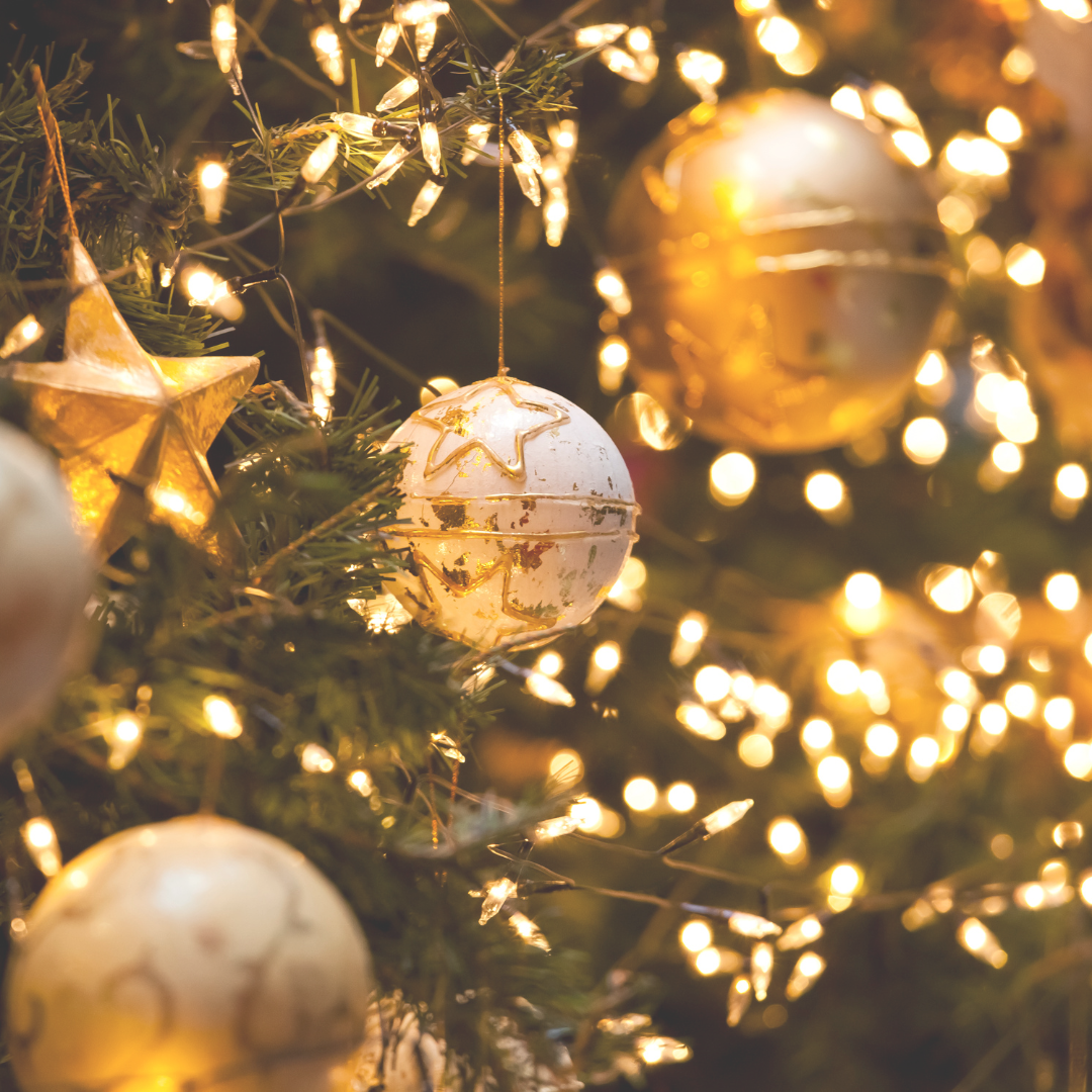 Christmas Gift Appeal (Seasonal) image