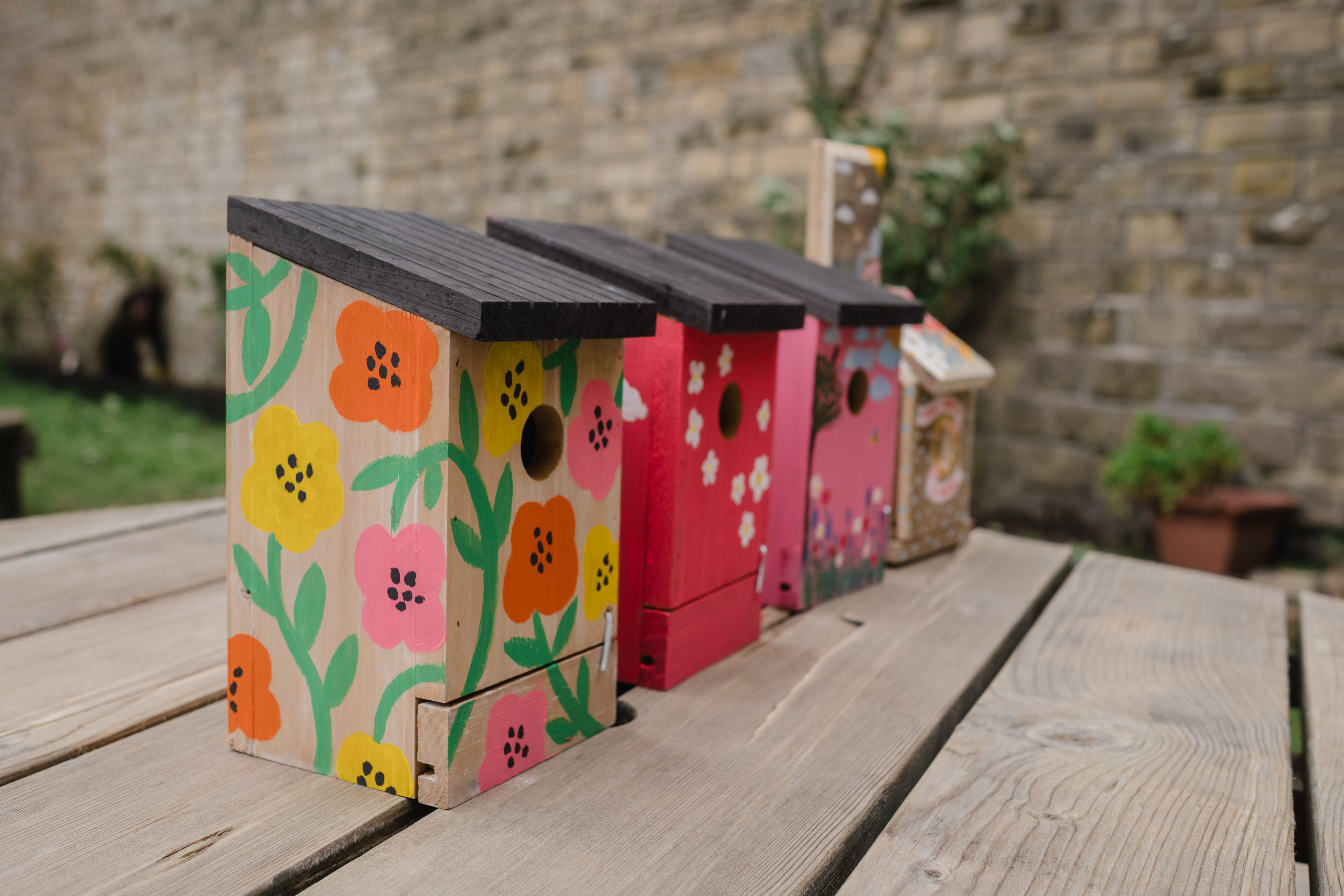 lined up painted birdboxes - Liz Baker Phography