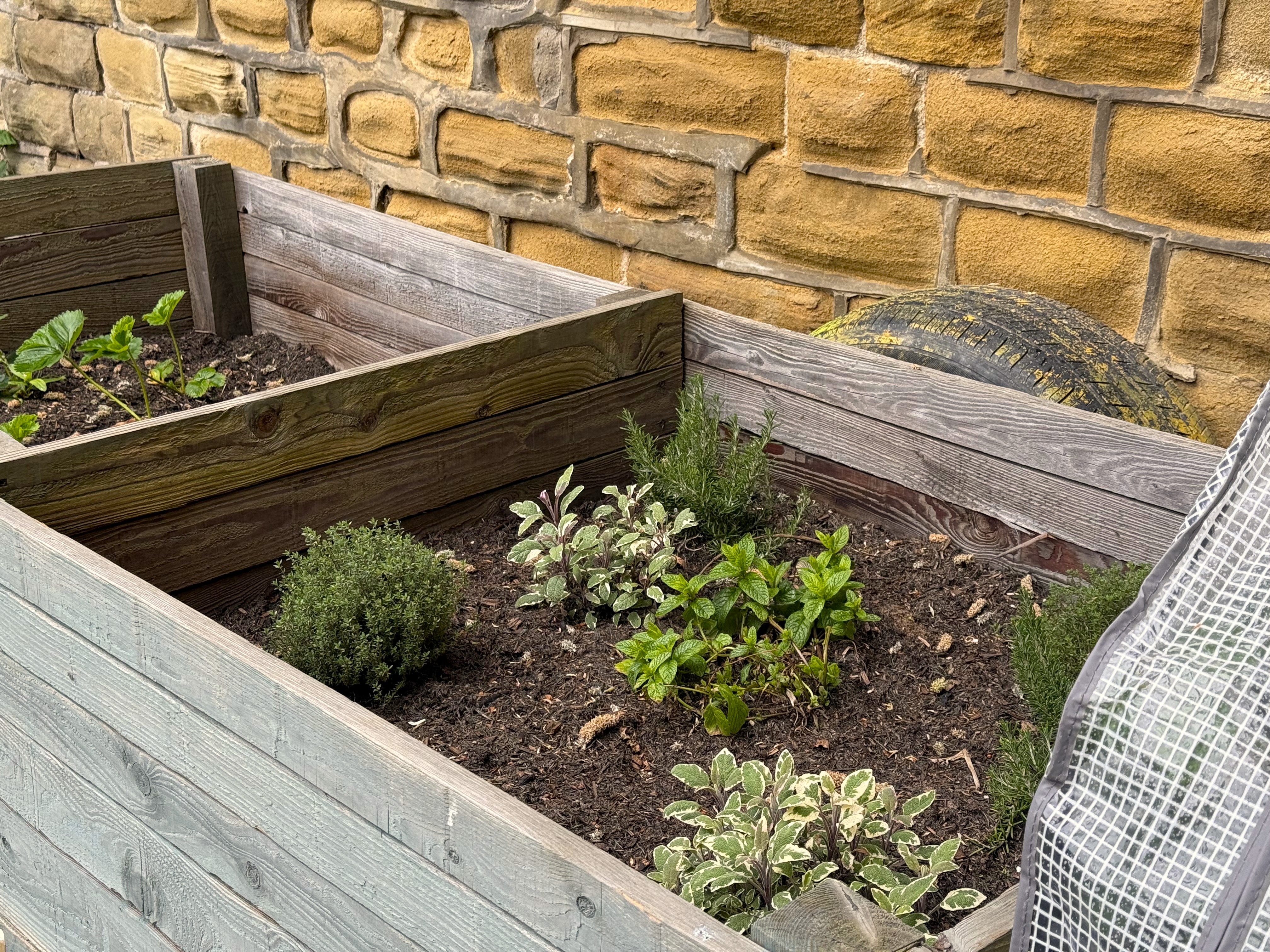 Garden Plant bed